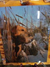 DEVER Bryan Hunting Dog Photography artwork 1990