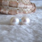 Stud Earrings——More Colors 10.0-10.5mm Freshwater Pearl