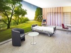 3D Meadow Tree R1116 Business Wallpaper Wall Mural Self-adhesive Commerce Panda