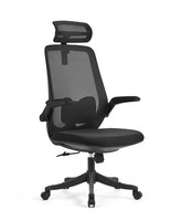 Mesh Back Office Chair, Desk Chair Computer Chair Tilt Ergonomic Mesh- Black