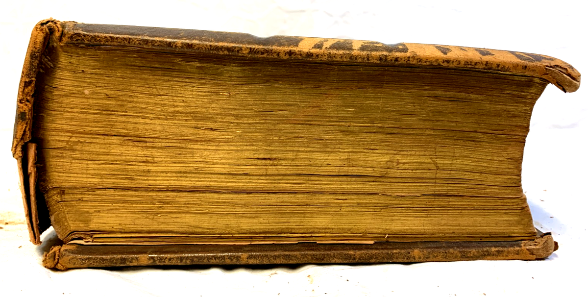 Antique 1873 HOLY BIBLE Holman's Edition FAMILY BIBLE Pictorial