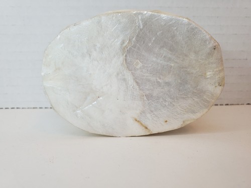 Unique Vintage Sea Shell Trinket Box - Picture 4 of 5