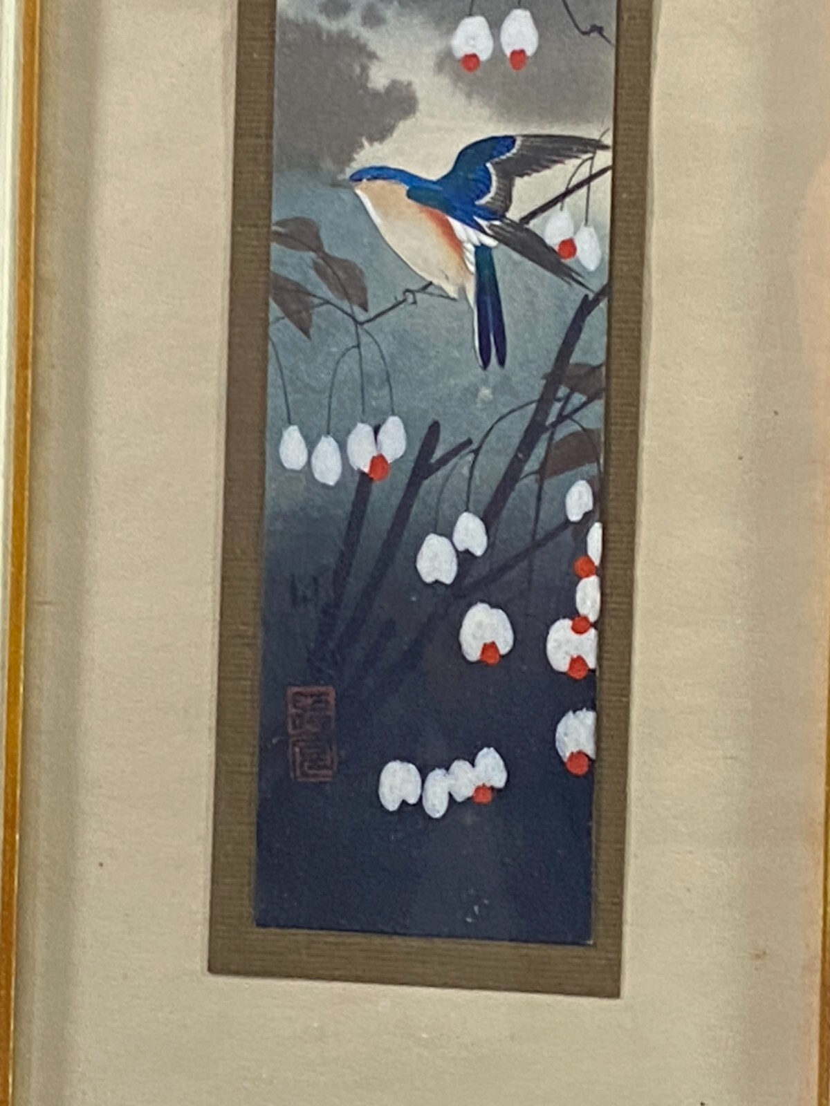 Foto 7 di 7