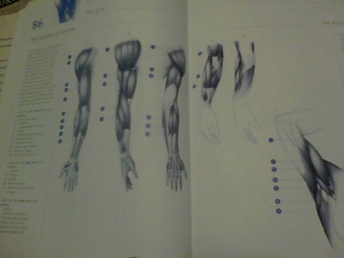 Essential Art Ser.: Anatomy for the Artist by Daniel Carter (2003, Hardcover) - Imagen 6 de 7