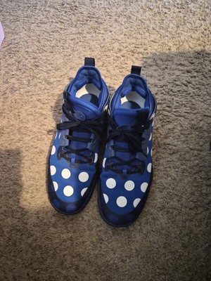 Adidas Harden Vol. 5 Futurenatural Polka Dot Royal Blue