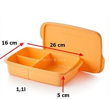 Tupperware Pausenbox, Snackbox, Bento Box, Clevere Pause NEU 1L Lunchbox Eco