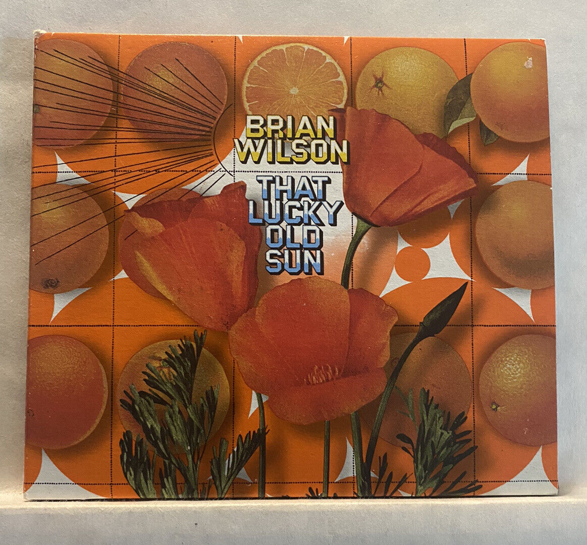 That Lucky Old Sun Brian Wilson (2008, CD) EMI EX