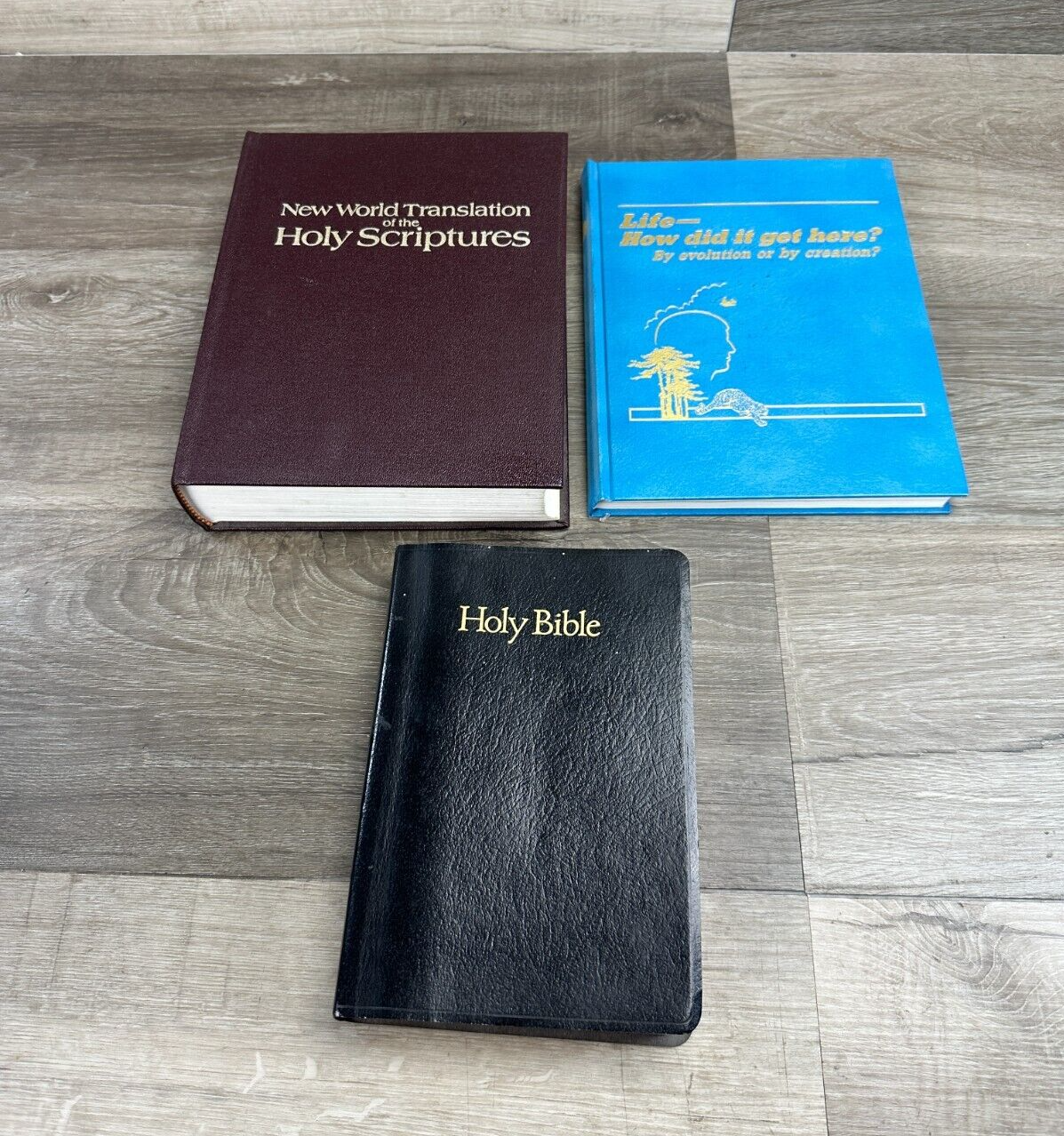 3 Religious Books Bundle - Bible, Life Origins & Holy Scriptures