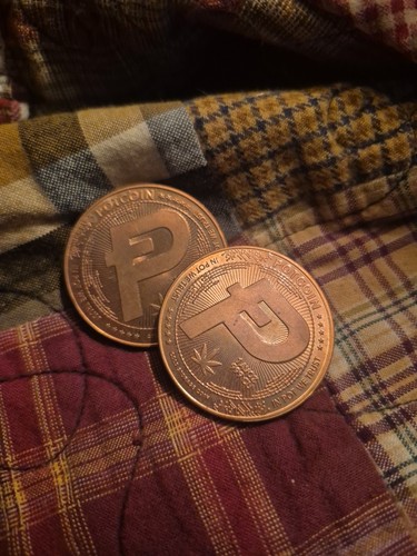 Two Pot Coins | Promotional Crypto currency, No Monetary Value