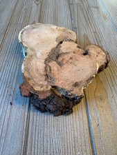 Cherry Burl Slice approximately 9 inches by 7 inches by 1.5 inches thick