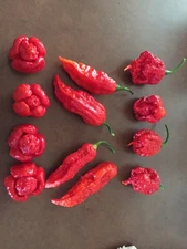 6 FRESH PICKED Super Hot Mix, ( 2 Red Carolina Reaper, 2 Ghost, and 2 Moruga )