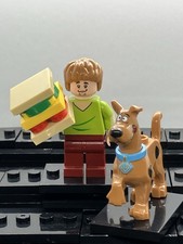 Shaggy And Scooby-Doo Custom Mini Figure