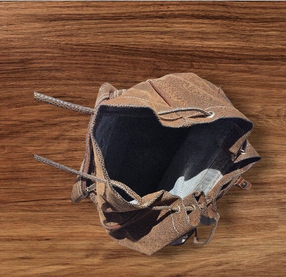 Classical Brown Backpack - image 4