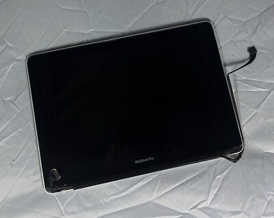 Original Apple MacBook Pro A1278 13,3'' Display Bildschirm komplett 2009/2010