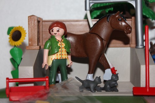 Playmobil City World Family Fun Horse Farm Horse Shower 4193 / 6926 / 4190 - Picture 4 of 6