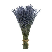 Dried Lavender Flowers Bundles 200 Stems Dry Lavender Bunch for Home 200 stems