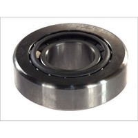 Lager, Eingangswelle, Differential DT Spare Parts 1.16041