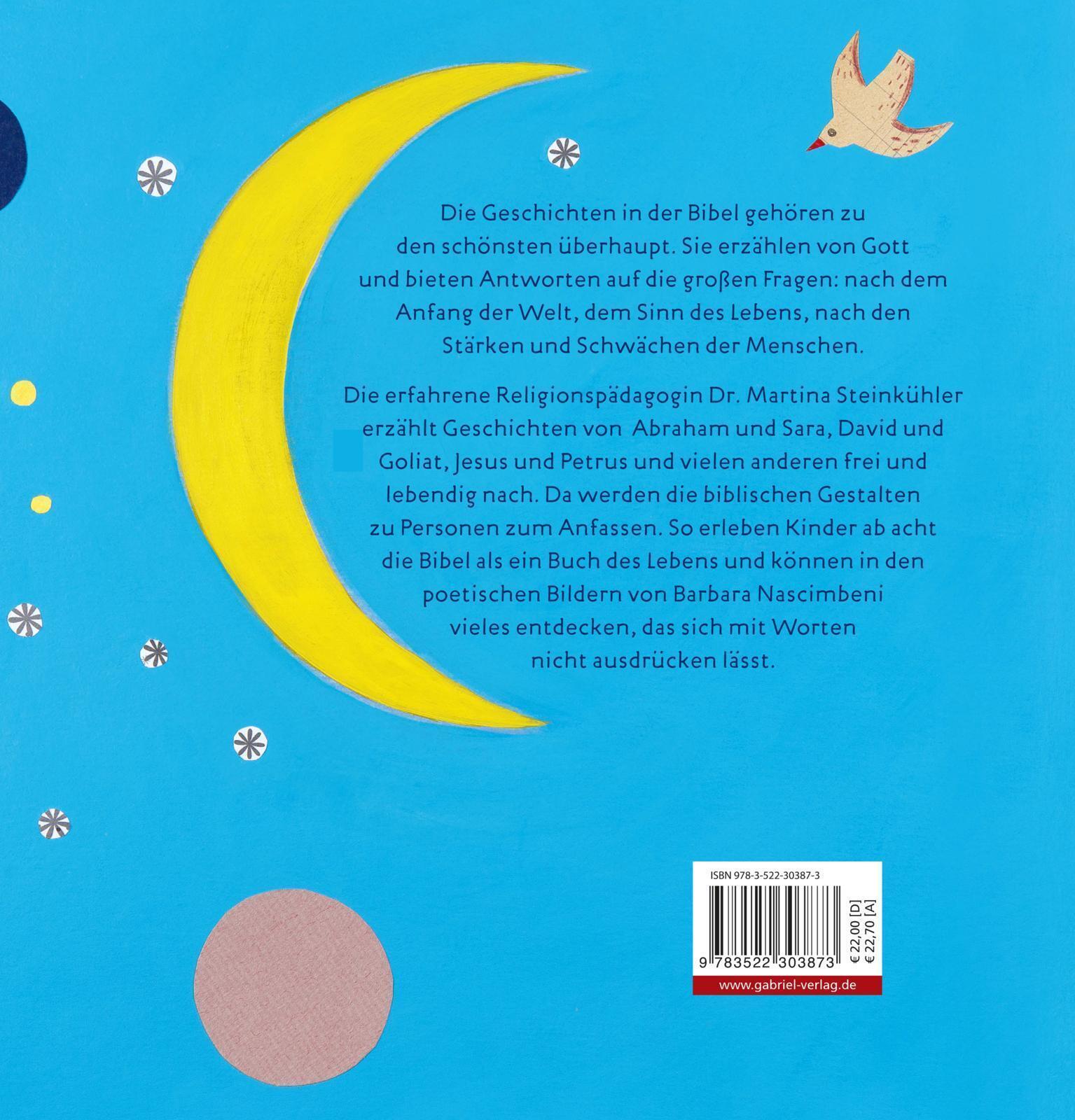 Thumbnail - Die Neue Erzählbibel Martina Steinkühler Buch 248 S. Deutsch 2015