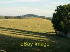 Photo 6x4 Field near Ingsdon Manor South Knighton The far right-hand part c2008