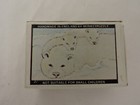 Polar Bear Monkey Puzzle Made in England Natural Wood Two Pieces with Box — photo 8