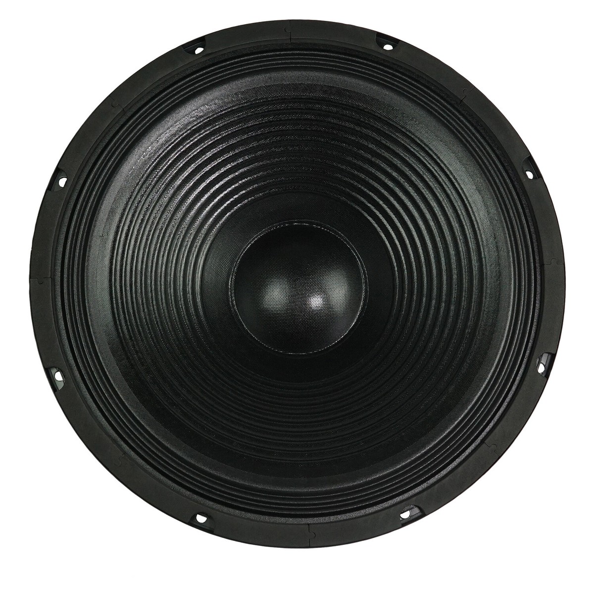 Technical Pro WF18L 18'' 2000w Raw Subwoofer Pro Sub Woofer, 3