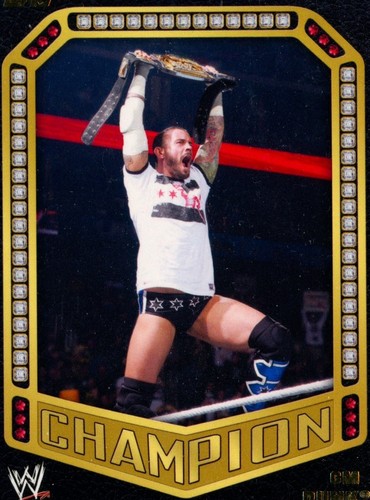 WWE ジョンシナ　CMパンク　サイン AEW s-l500.jpg