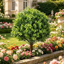 Artificial Boxwood Ball For Outdoor Seasonal Display Weather Resistant Material