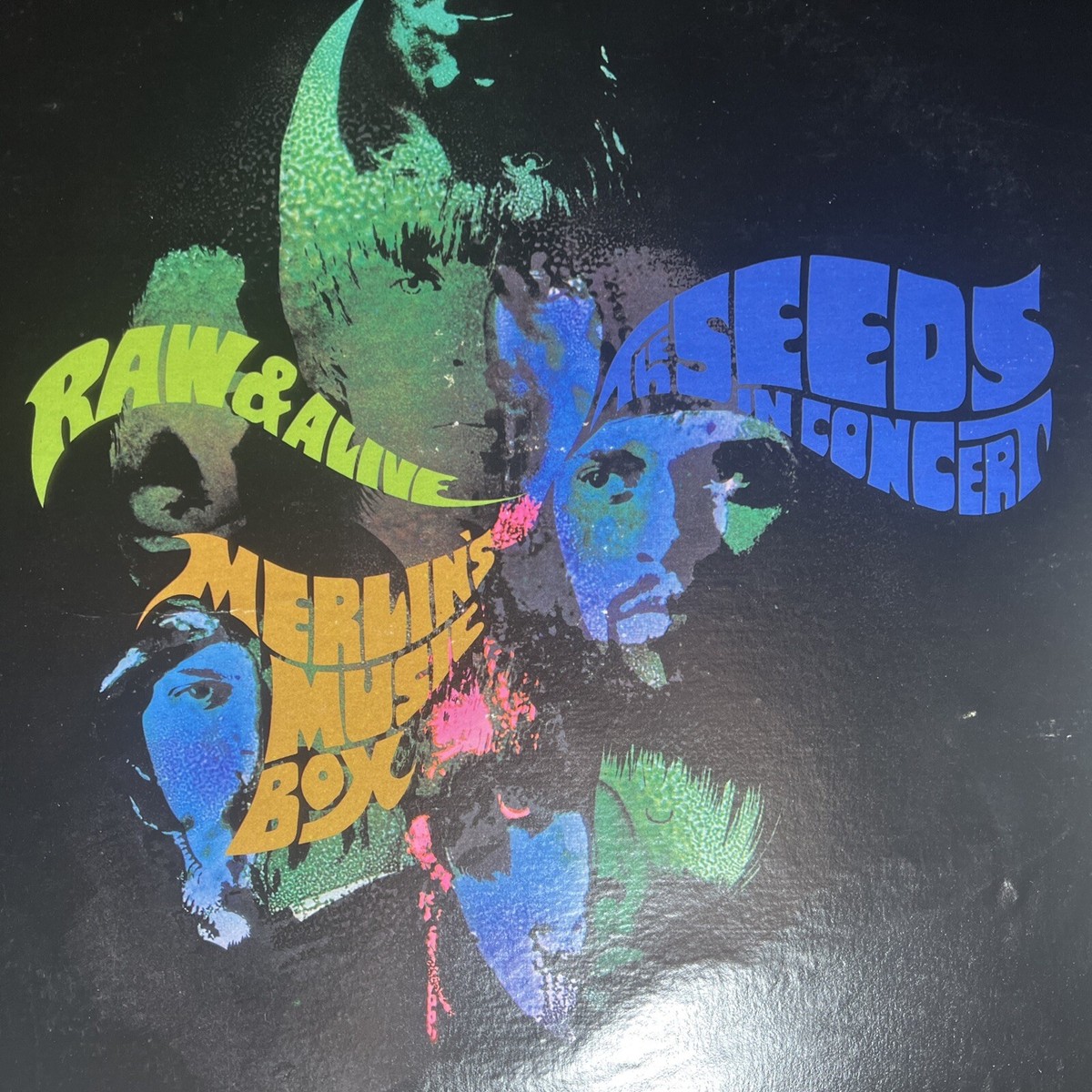 米2LP The Seeds A Web Of Sound GNP2300 GNP Crescendo /00660 米2LP The Seeds A Web Of Sound GNP2300 GNP Crescendo /00660