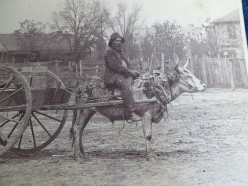AFRICAN AMERICAN BLACK CABINET PHOTO THOMASVILLE GA MAN RIDING OX BOY IN BARREL - Picture 3 of 8