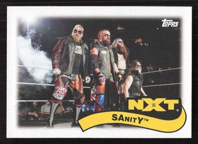 2018 Topps WWE Heritage Tag Teams & Stables SAnitY #TT-18