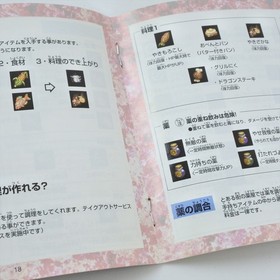 PRINCESS CROWN Sega Saturn 3229 ss