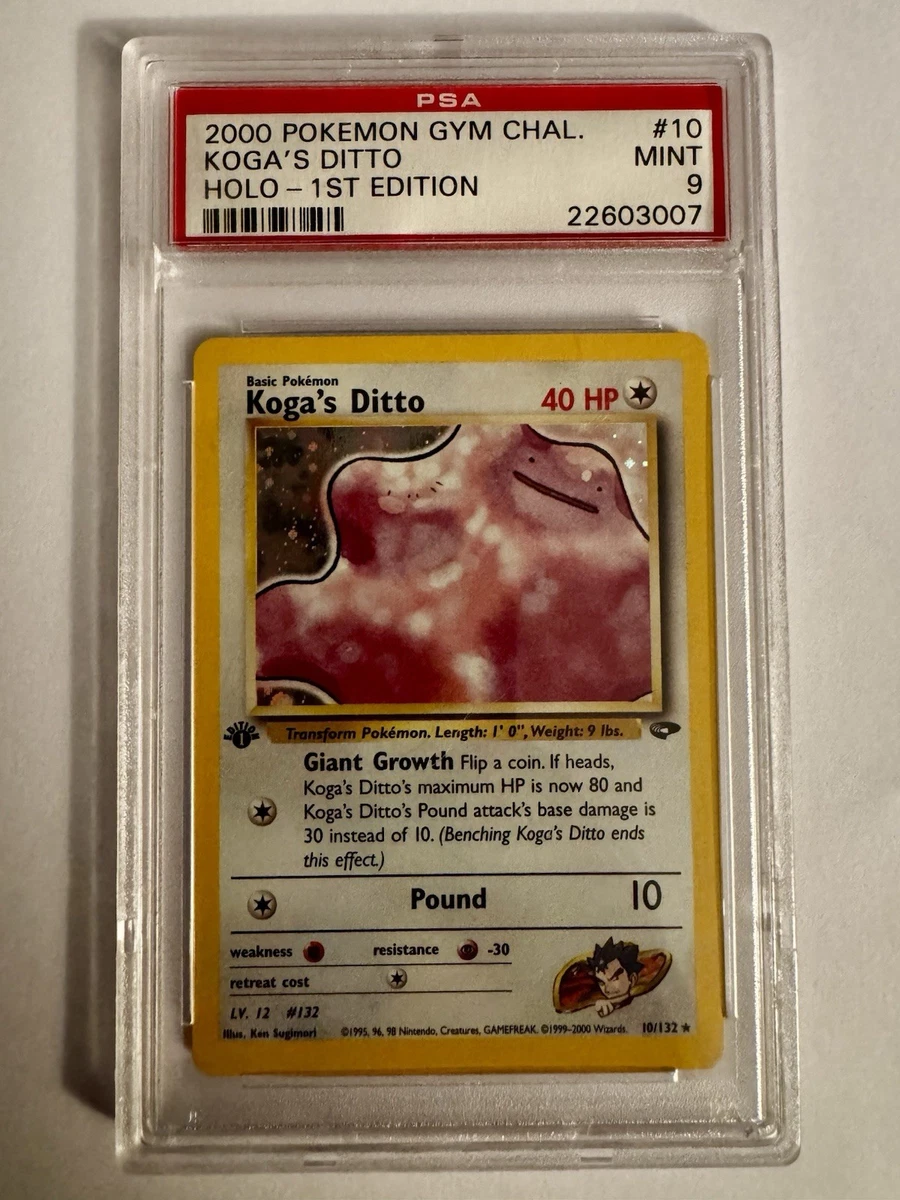 Koga'S Ditto