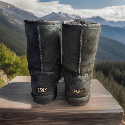 Ugg Women s Suede Boots