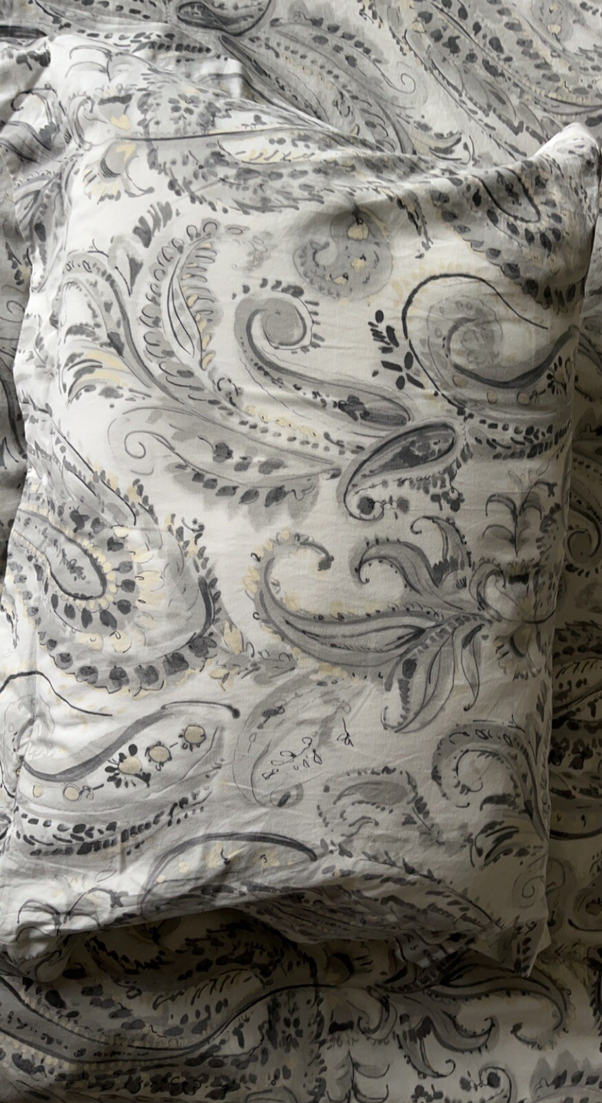 Pottery Barn Jacquelyn Medallion King Duvet & 2 Standard Shams eBay