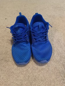 roche runs