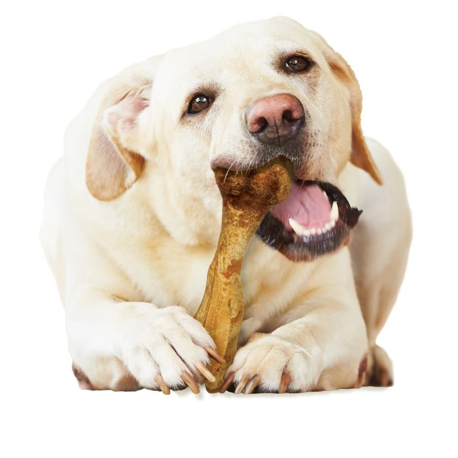 Nylabone Comestibles Saludables Caldo Hueso Golosinas Naturales para Perros, Gigante Foto 2 de 4