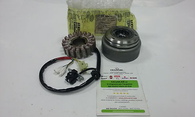 Stator Magnet Flywheel Rotor Aprilia Leonardo - Scarabeo 125-150-200 ROTAX ALL