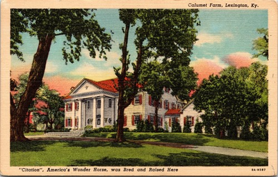 #ad Calumet Farm Lexington Kentucky KY Citation Was Bred Raised Here c1938 Postcard $4.95