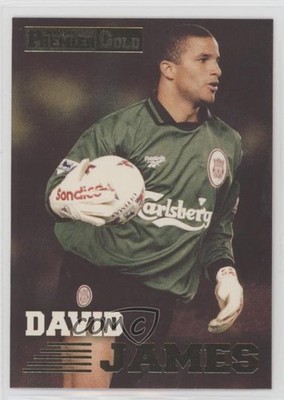 1996 Merlin Premier Gold David James #081 1a1r