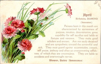 April Birth Month Postcard c1910 Daisy Diamond Innocence Sentimental Floral