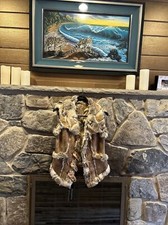 Nwt Stunning Fur Skea Connie Vegan Vest Women's Winter Warm Multicolor Sz Sm