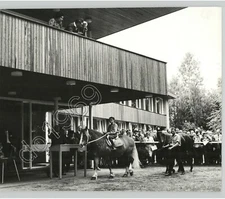 Horse Auction at COLOGNE-WEIDENPESCH Germany c.1960s Press Photo Wallace Driver