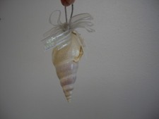 Fancy Spire Swirl Mollusk Shell Silver White Pearl Bead Ribbon XMas Ornament NEW