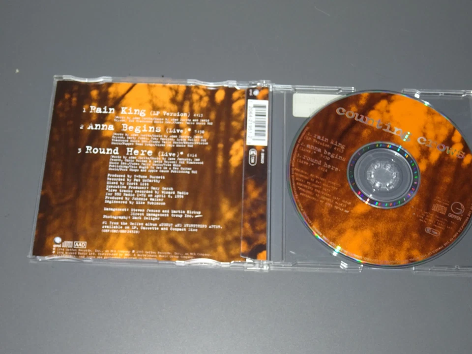 COUNTING CROWS - RAIN KING / 3 TRACK MAXI-CD 1994 & PROMO-SHEET - Bild 2 von 3