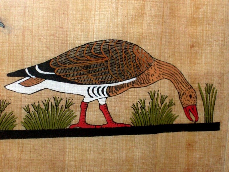 Original Egypt Art Meidum Geese VINTAGE PHAROAHS PAPYRUS SPHYNX SQ. SAMMAN ART