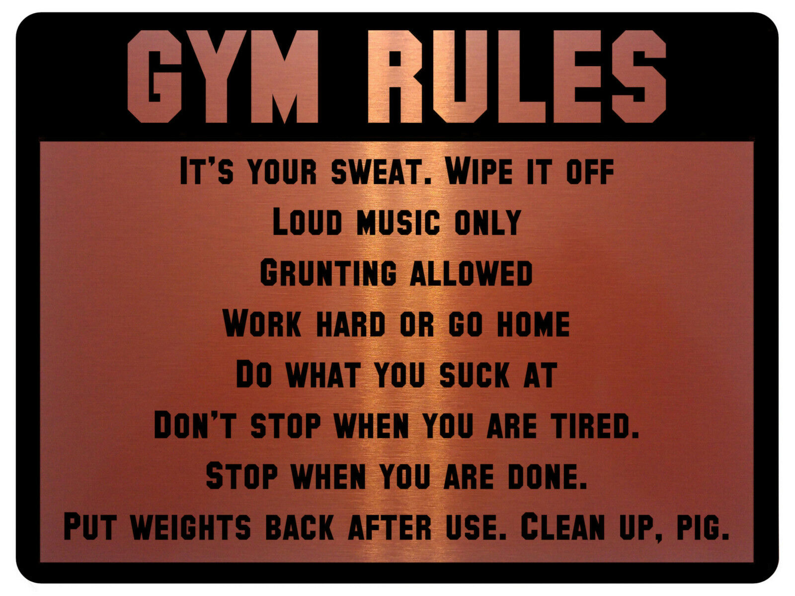 688 GYM RULES Safety Funny Door Wall Metal Aluminium Plaque Sign Fitness  Club | eBay