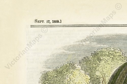 Festa vittoriana e corsa di palloncini Cremorne Gardens Londra pagina stampata 1859 poster artistico - Foto 4 di 16