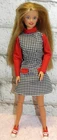 1998 Mattel SCHOOL PHOTOGRAPHER BECKY Friend of Barbie Articulated Doll #20202