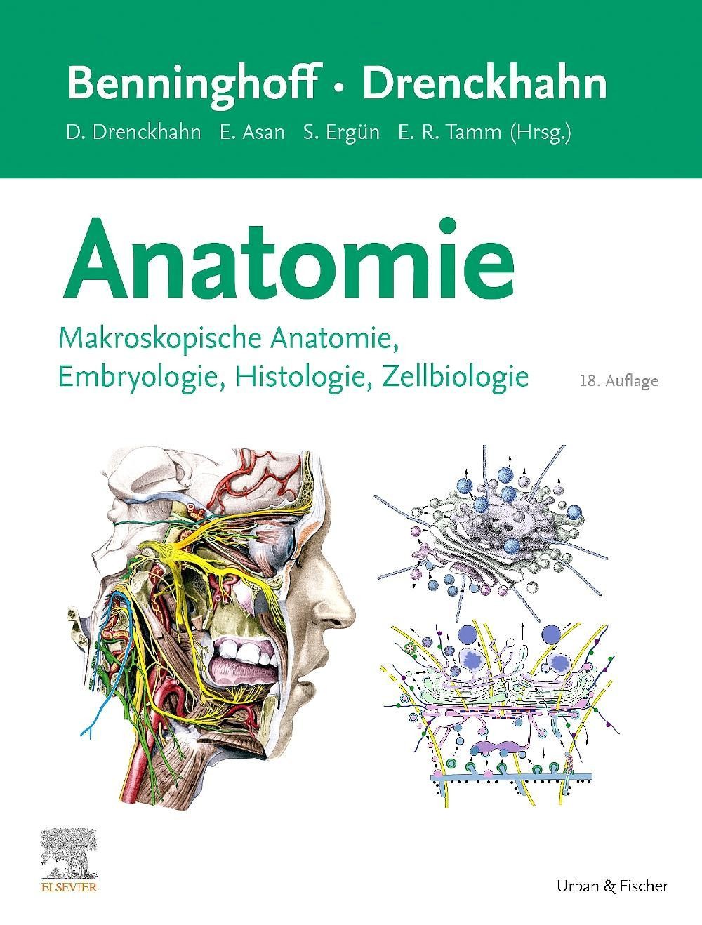 Benninghoff/Drenckhahn, Anatomie Esther Asan
