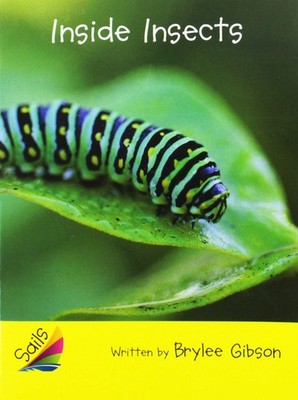 Inside Insects (Sails Early (2))